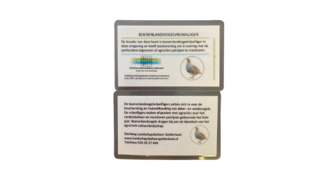 pasje patrijssteller